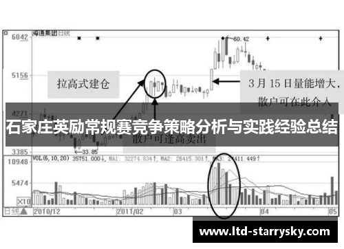 石家庄英励常规赛竞争策略分析与实践经验总结
