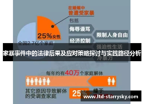 家暴事件中的法律后果及应对策略探讨与实践路径分析