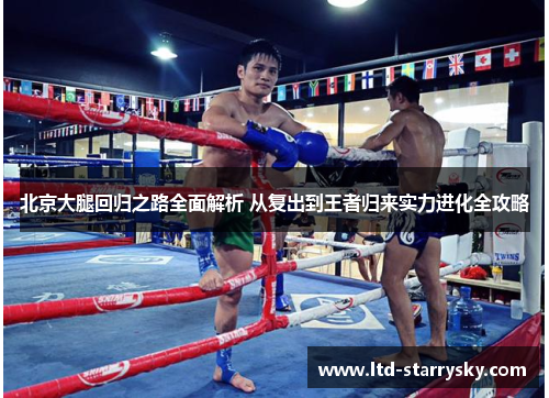 北京大腿回归之路全面解析 从复出到王者归来实力进化全攻略