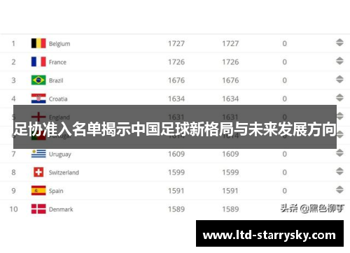 足协准入名单揭示中国足球新格局与未来发展方向