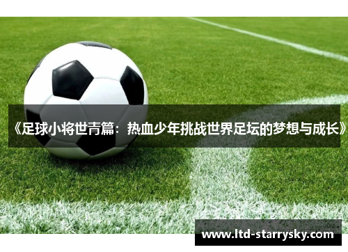 《足球小将世青篇：热血少年挑战世界足坛的梦想与成长》