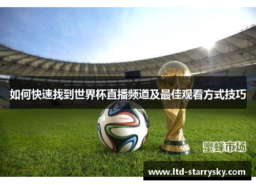 如何快速找到世界杯直播频道及最佳观看方式技巧